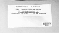 Image Associated With the Occurence